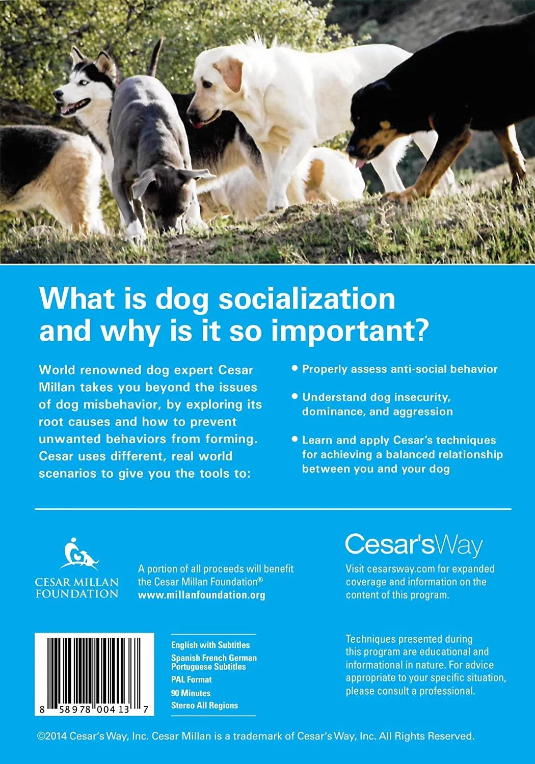 Cesar Millan Socialization™ DVD