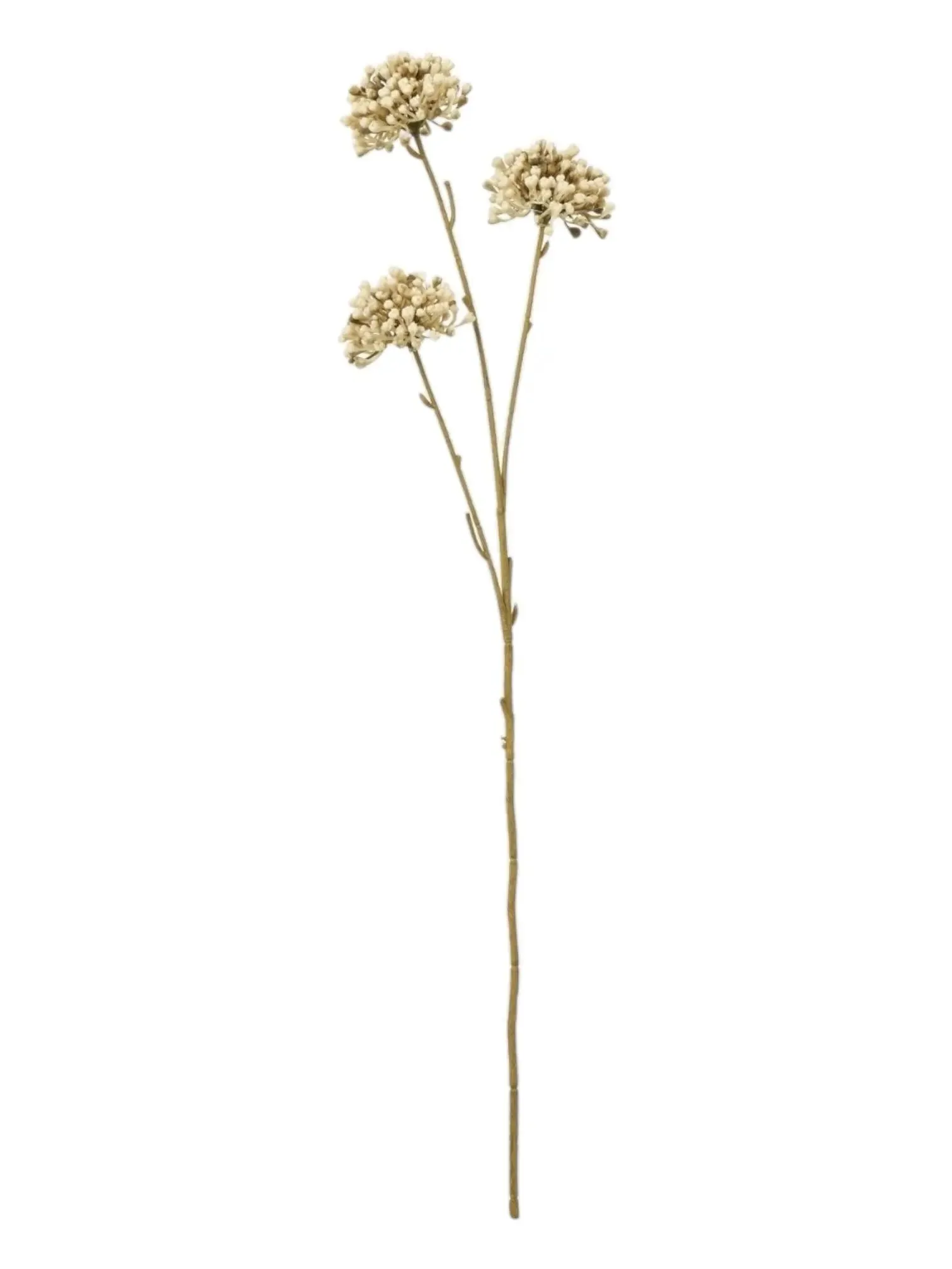 Classic Brown Allium Spray