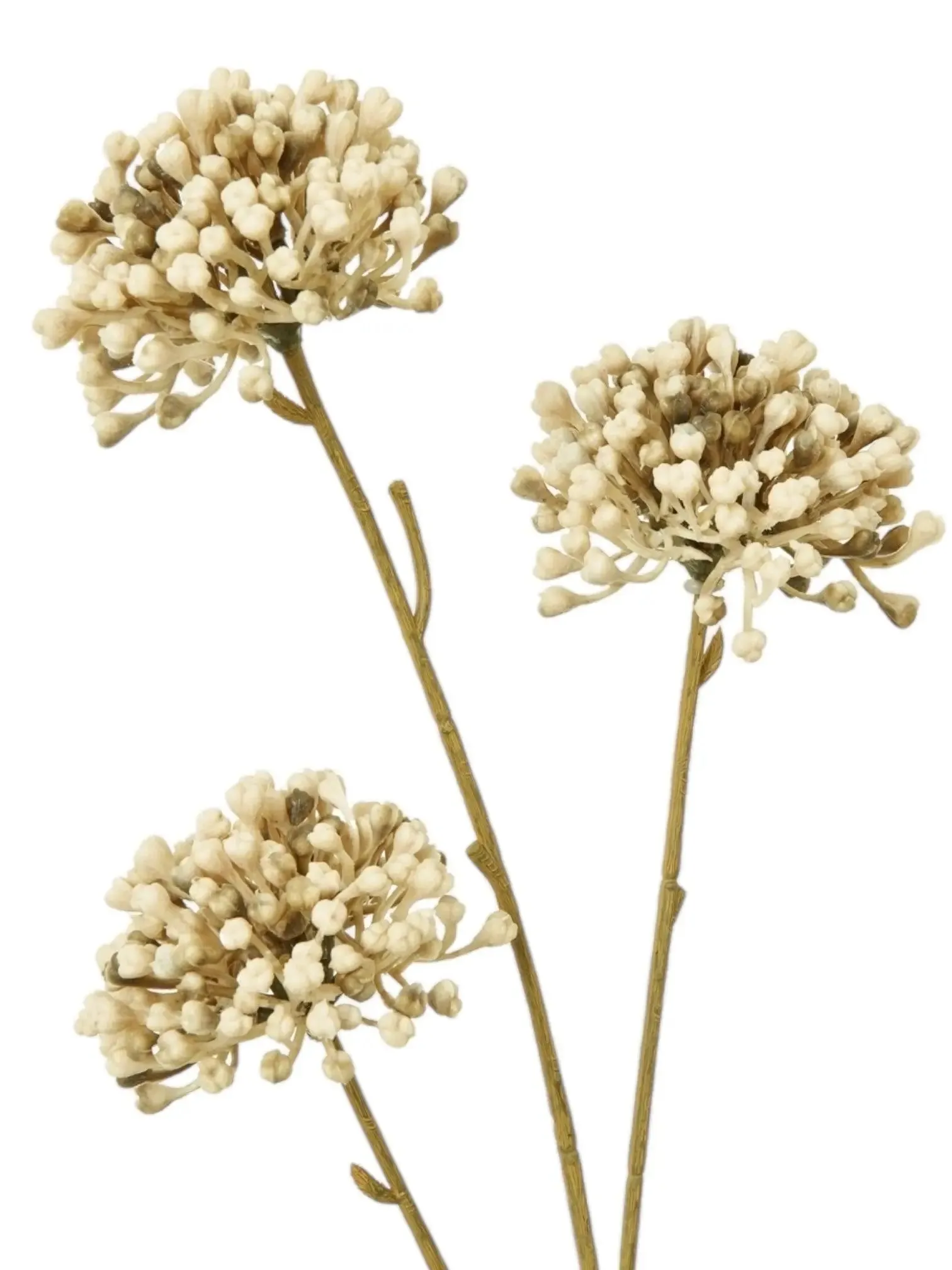 Classic Brown Allium Spray