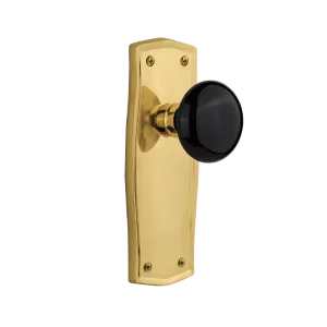 Prairie Long Plate with Black Porcelain Knob in Polished Brass